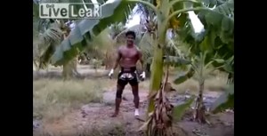 Buakaw Banchamek visual data 2